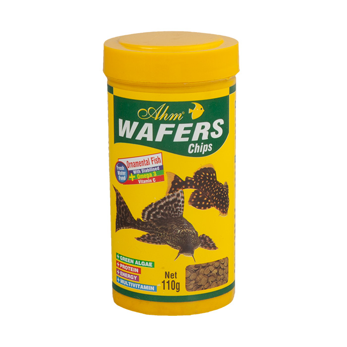 Wafers Chips