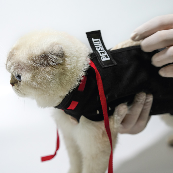 Petsuit Recovery Suit