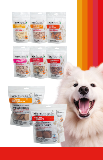 Dog Chew Products