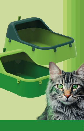 Open Cat Litter Boxes