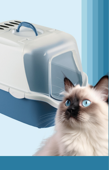 Closed Cat Litter Boxes