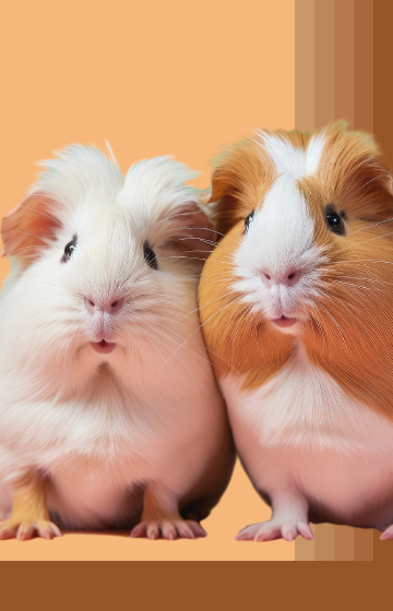 Rodent Foods