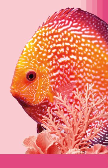 Tropical Fish Foods